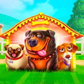 The Dog House